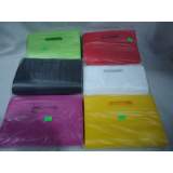 BOLSA FRISELINA 22,5X30X10 V/COL. X 10un                                        